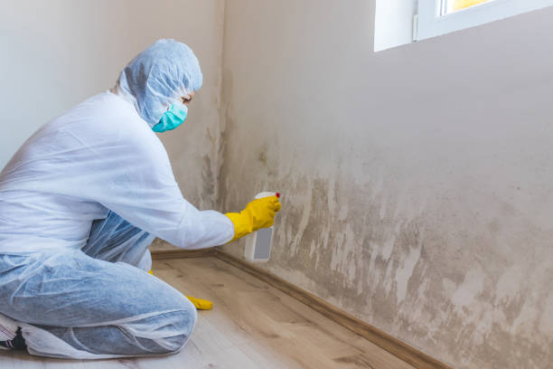 Hvac And Air Duct Mold Remediation inspection of HVAC system in New Vernon
