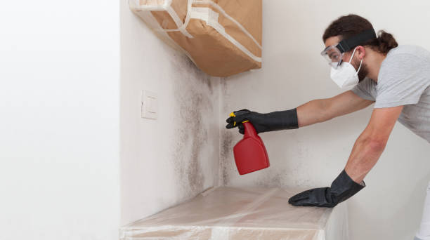 Attic Mold Remediation treatment on roof deck in New Vernon